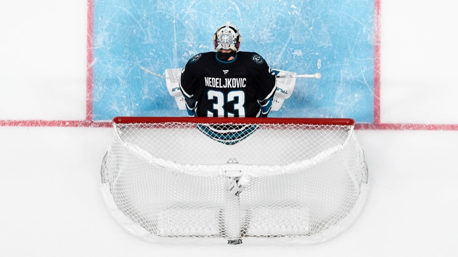 Grier replaced an injured goaltender with one waiting on immigration