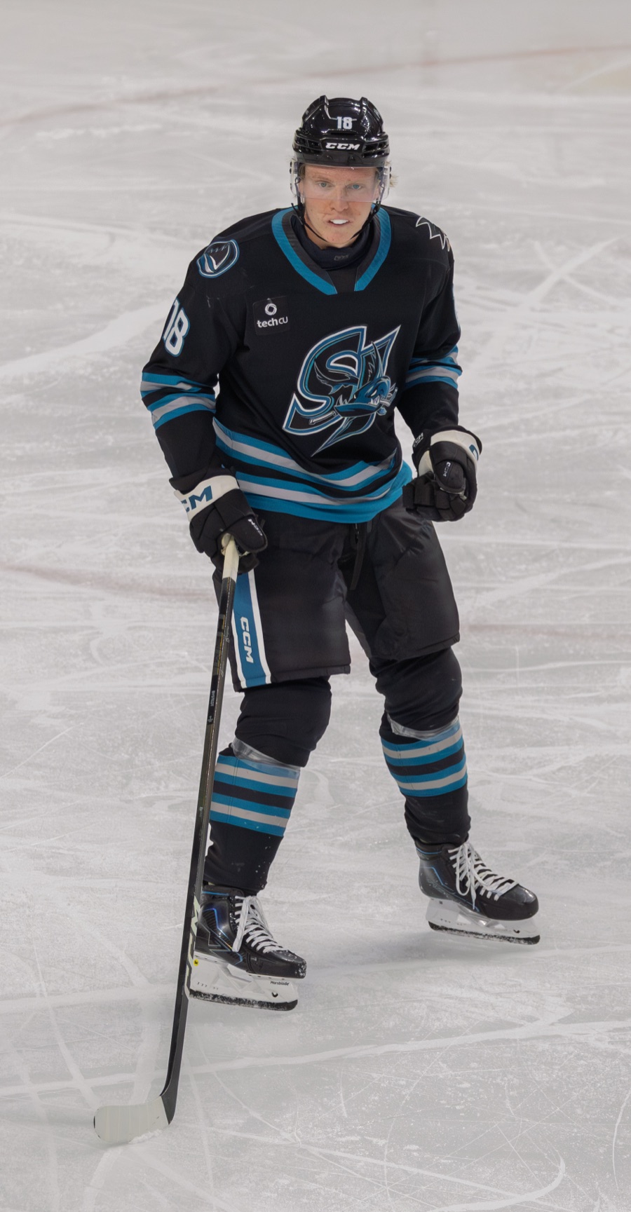Filip Bystedt Fixed His Faceoffs For A Job Two Sharks Already Hold